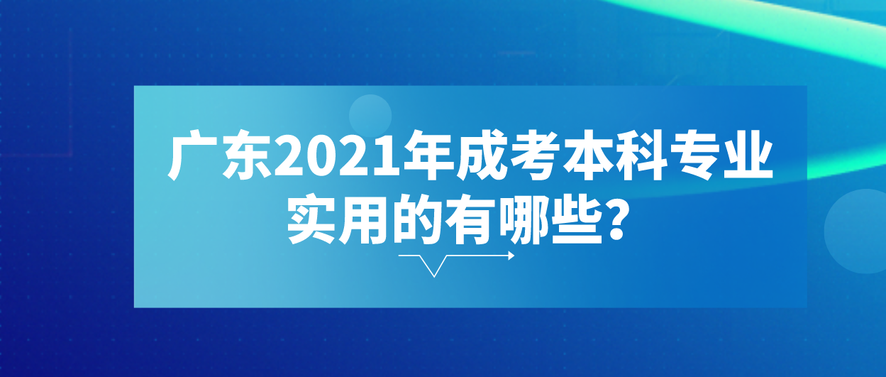 广东2021年成考本科专业实用的有哪些？