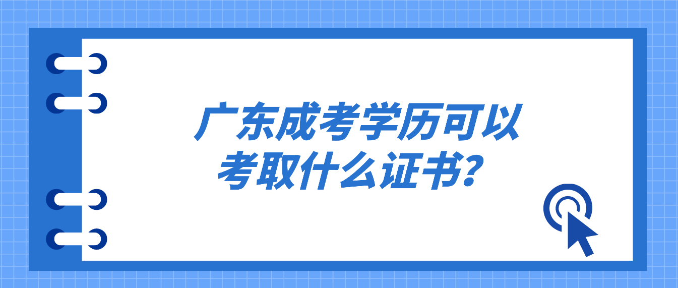 广东省成考学历可以考取什么证书？