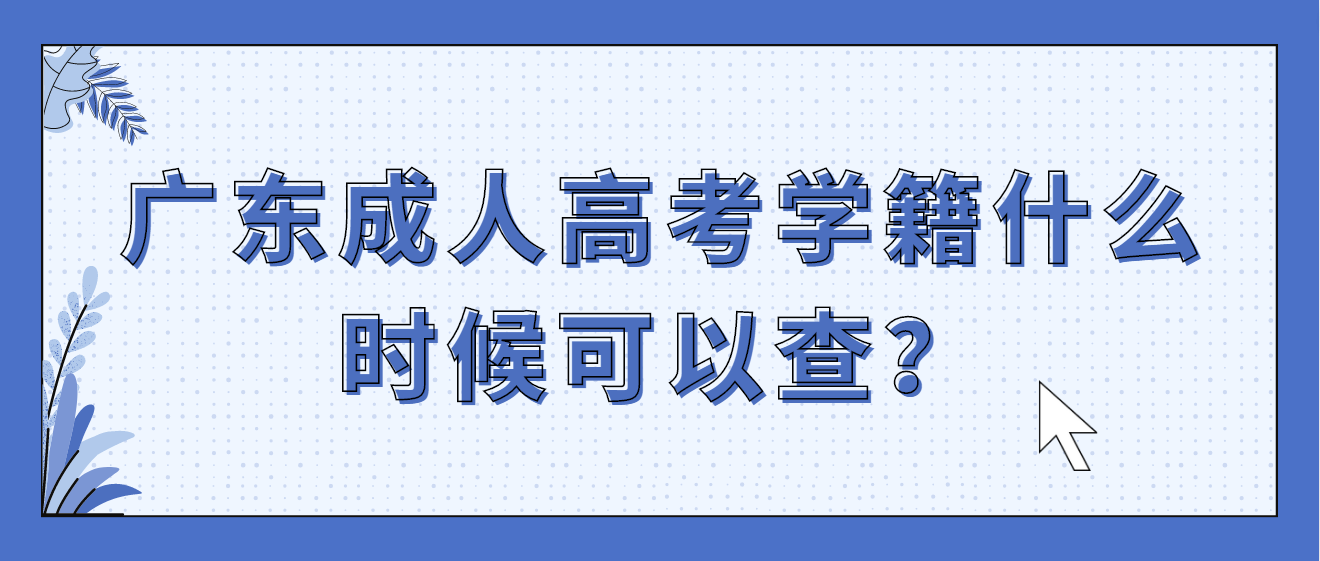 广东成人高考学籍什么时候可以查？